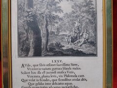 Gravura rara Ethica Naturalis (Christoph Weigel), anii 1700